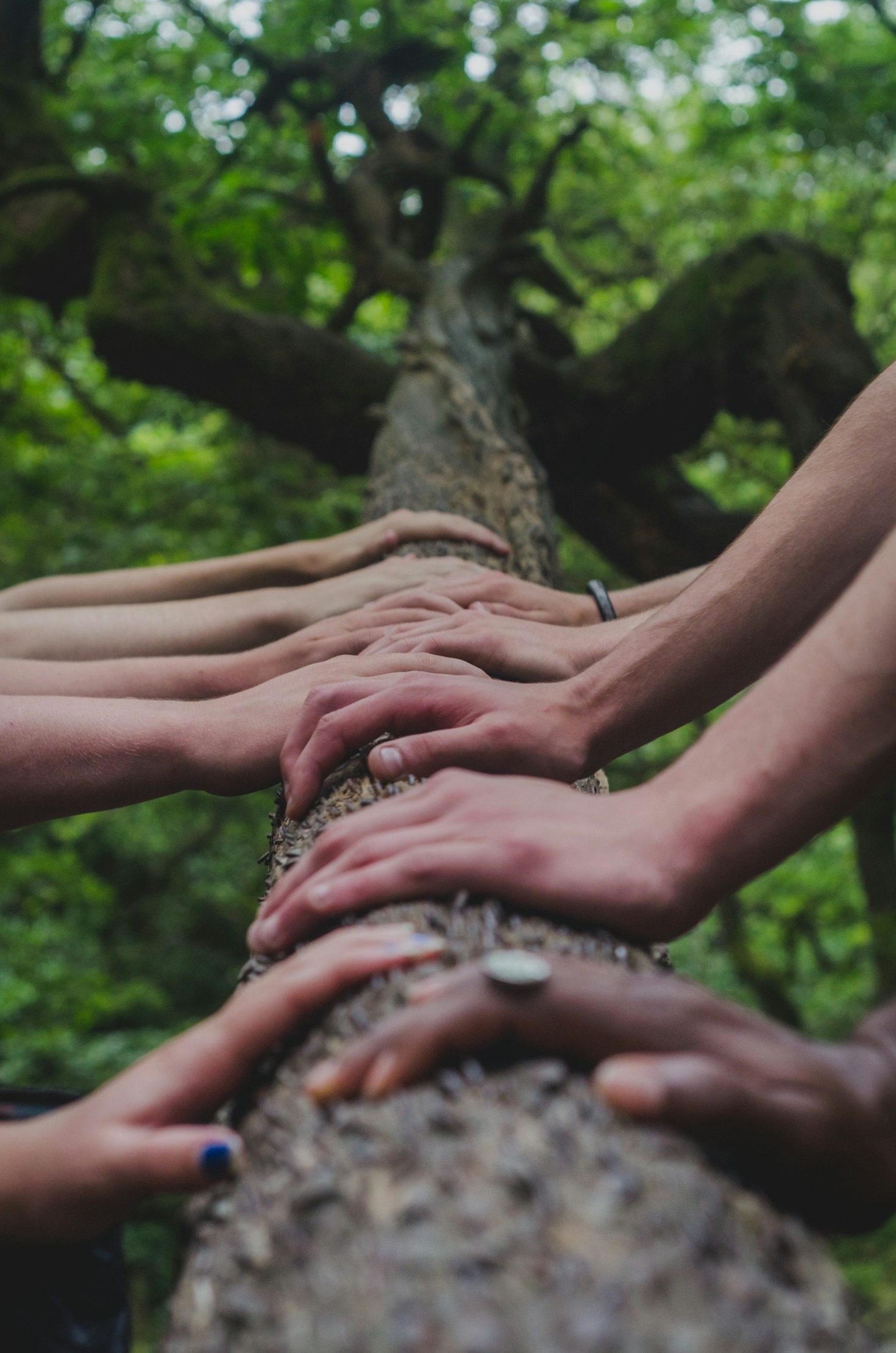 Discover the Essence of Interconnected Souls